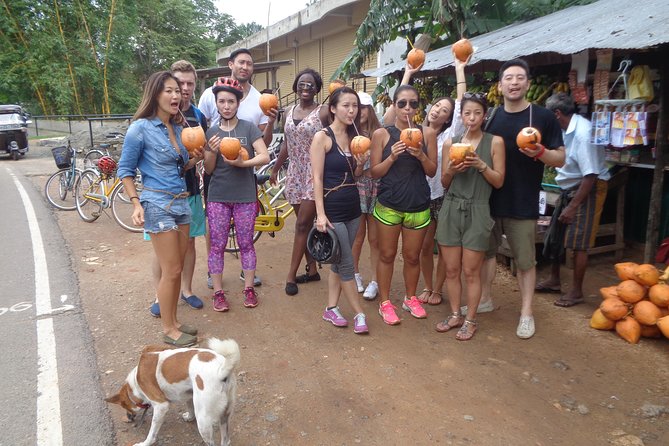 Half-Day Lagoon and Village Cycling Tour in Galle - Pacing, bike choice, and how “easy” the ride really is