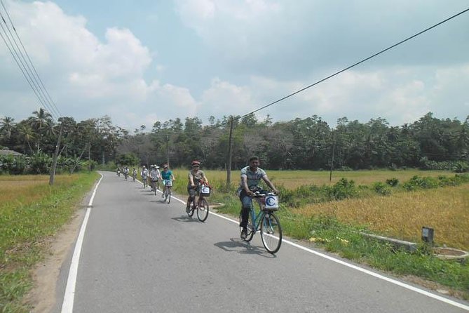 Half-Day Lagoon and Village Cycling Tour in Galle - Lagoons and mangroves: where the wildlife spotting actually makes sense