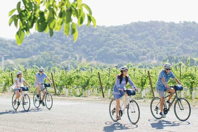 Half-Day Napa Winery E-Bike Tour - Van Support and Wine Purchases: The Part People Underestimate