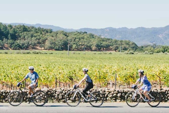 Half-Day Napa Winery E-Bike Tour - Keeping the E-Bikes After the Tour: How to Turn It into More Than a Tasting Stop