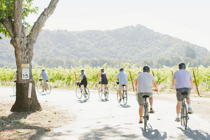 Half-Day Napa Winery E-Bike Tour - Price and Reality Check: $169 vs. Wine Fees and Practical Value