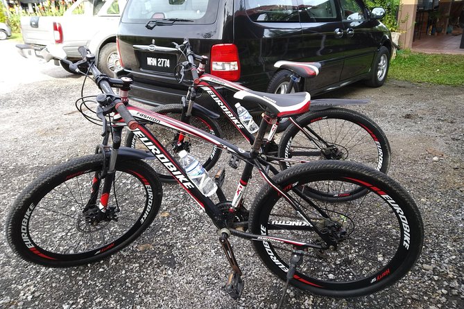 Half-Day Penang Countryside Cycling Tour - Your Bike Setup: 26-inch Wheels, Basic Ride, and Helmet Reality