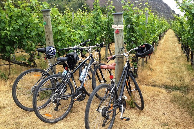 Half-Day Self-Guided Ride and Wine Bike Tour from Arrowtown - Quick takeaways