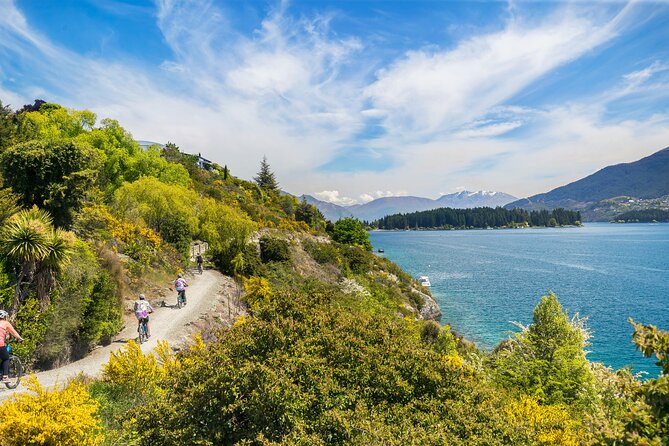 Half-Day Self-Guided Ride and Wine Bike Tour from Arrowtown - Price and value: why $25 can work here