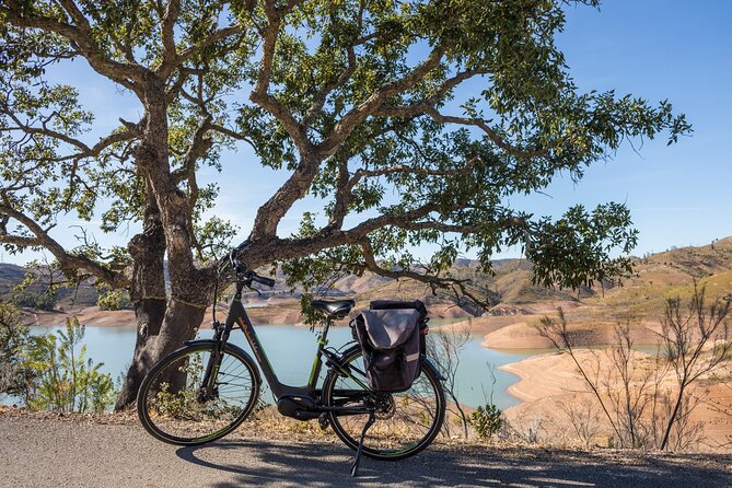 Half-Day Small-Group E-Bike Tour of Rural Algarve with Lunch - Key Highlights You’ll Actually Care About
