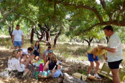 Half-Day Small-Group E-Bike Tour of Rural Algarve with Lunch - Canhestros Secret Garden Breakfast: Jams, Cakes, and Field Views