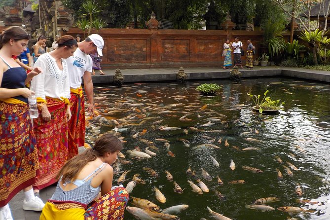 Half-Day Ubud Electric Cycling Tour to Tirta Empul Water Temple - Why an e-bike matters for Ubud’s hills