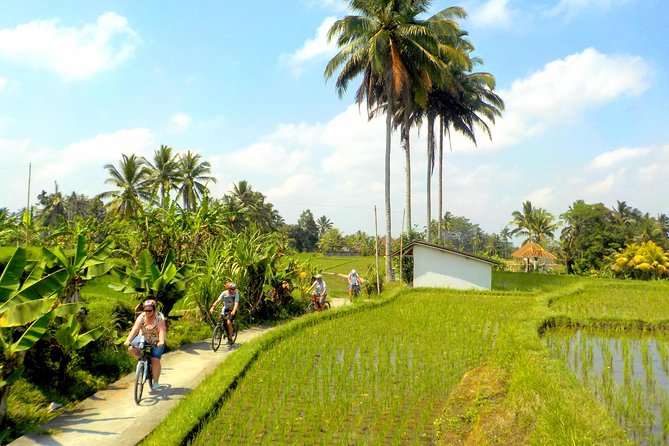 Half-Day Ubud Electric Cycling Tour to Tirta Empul Water Temple - Tirta Empul: the 45-minute temple moment