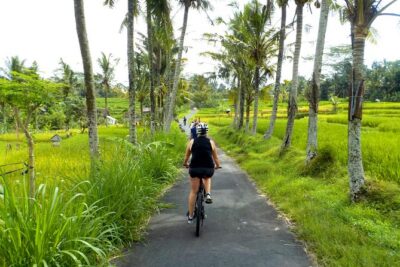 Half-Day Ubud Electric Cycling Tour to Tirta Empul Water Temple - The ride through rice terraces and village life