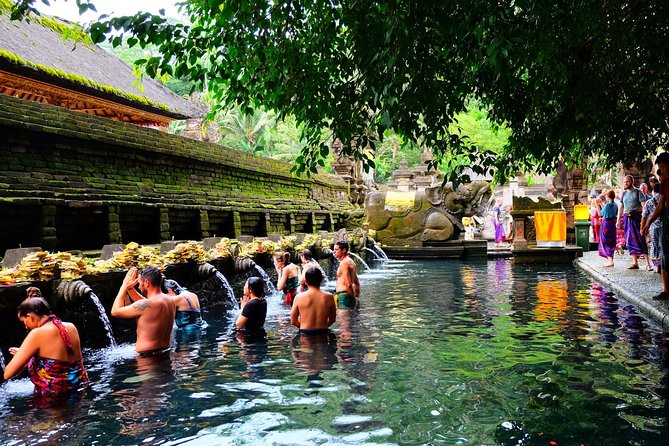 Half-Day Ubud Electric Cycling Tour to Tirta Empul Water Temple - Lunch at the end stop: Balinese food with a scenic setting
