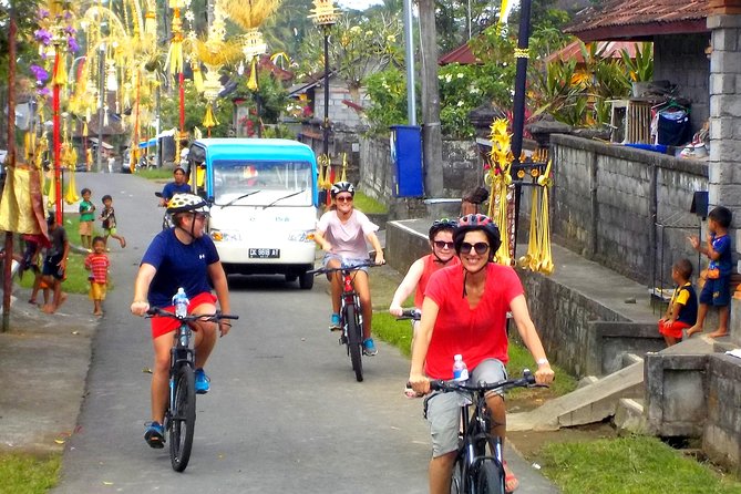 Half-Day Ubud Electric Cycling Tour to Tirta Empul Water Temple - Price and value: what $49 includes (and why it’s not just a cheap ride)