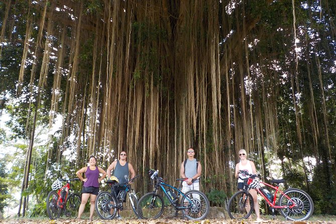 Half-Day Ubud Electric Cycling Tour to Tirta Empul Water Temple - Who this tour suits best (and who should skip)