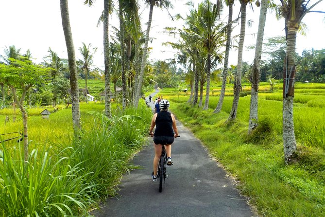 Half-Day Ubud Electric Cycling Tour to Tirta Empul Water Temple - The ride through rice terraces and village life