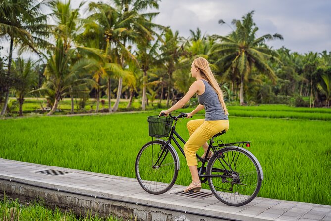 Half-Day Ubud Rice Field and Village Cycling Tour - Key Highlights You Should Know Before You Go