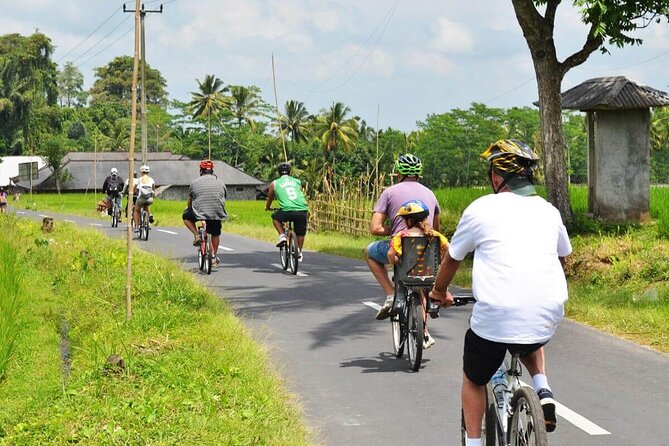Half-Day Ubud Rice Field and Village Cycling Tour - Why This Ubud Cycling Day Feels Different From a Bus Tour