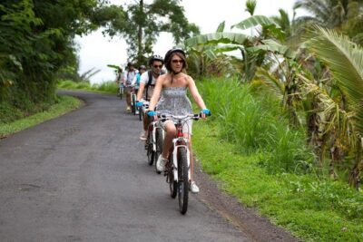 Half-Day Ubud Rice Field and Village Cycling Tour - The Route: Rice Terraces, Country Tracks, and the Mount Batur Side of Bali