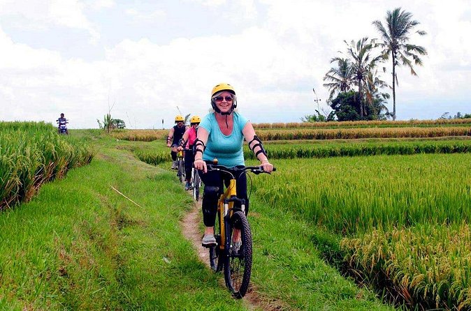 Half-Day Ubud Rice Field and Village Cycling Tour - Price and Value: Why $41 Can Work Well for the Right Traveler