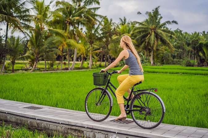 Half-Day Ubud Rice Field and Village Cycling Tour - Who This Tour Best Fits (And Who Might Skip It)