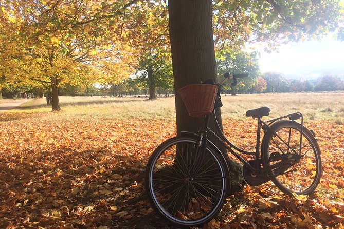 Hampton Court Palace Grounds Bike Tour - Pace, Bike Condition, and What Confident Riding Means