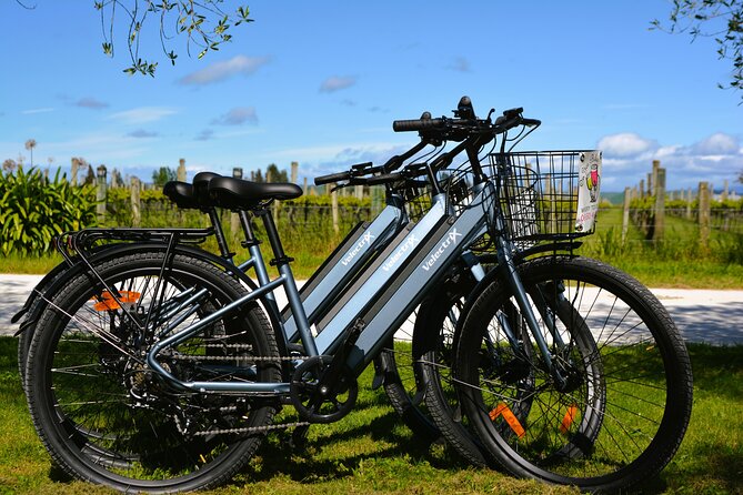 Hawkes Bay Wineries Self-Guided Electric Bike Tour - Support and Summer Wine Pickup That Makes the Ride Easier
