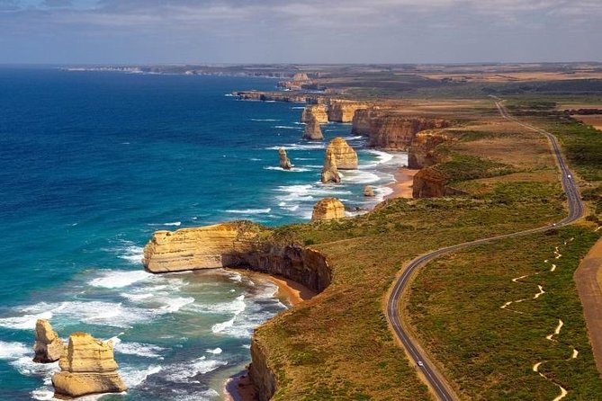 Hawkes Bay Wineries Self-Guided Electric Bike Tour - Should You Book This Hawke’s Bay Wineries Self-Guided E-Bike Tour?