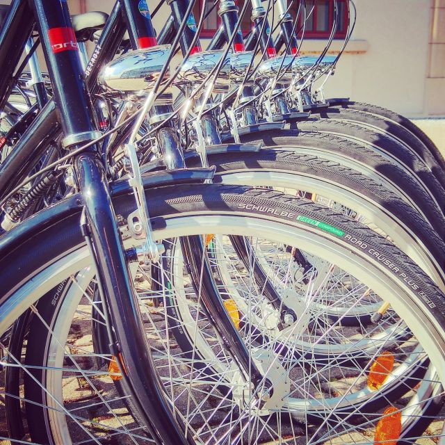 Heidelberg: Guided Bike Tour - Bikes, Helmets, and the Comfort Factor