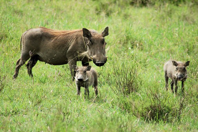 Hell's Gate National Park Private Bike Tour from Nairobi - Key highlights to know before you go