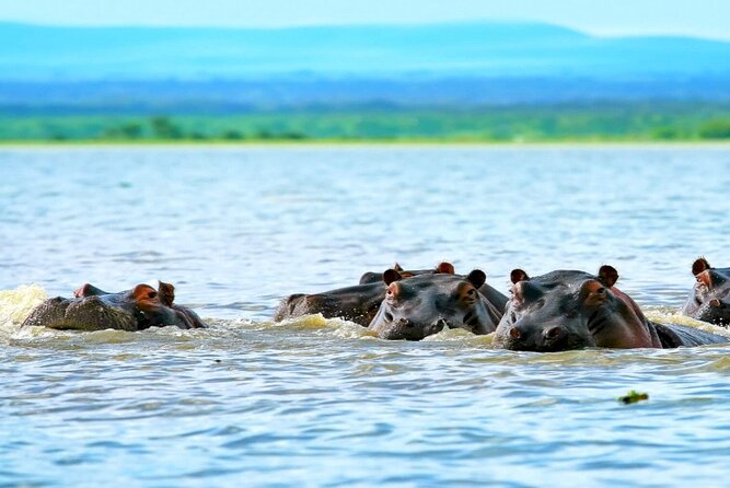Hell's Gate National Park Private Bike Tour from Nairobi - Lake Naivasha lunch and the optional boat ride for hippos and birds