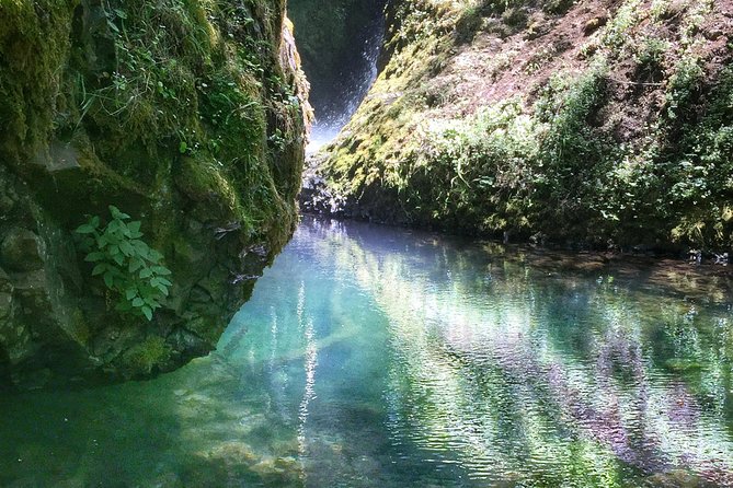 Hike and Bike Tour to Columbia River Gorge Waterfalls - Portland to the Gorge in an air-conditioned van