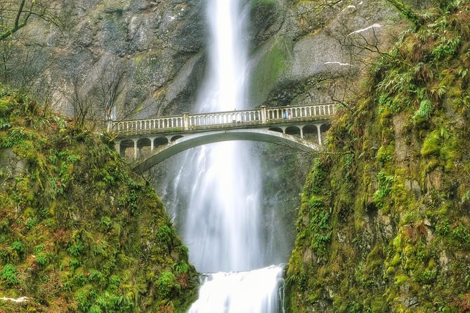 Hike and Bike Tour to Columbia River Gorge Waterfalls - Latourell Falls (or Horsetail): forest walking with a story
