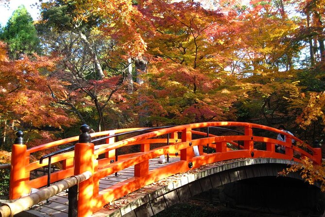 Historical Kyoto E-Bike Tour - Stop 1: Kitano Tenmangu Shrine and the plum-tree season vibe