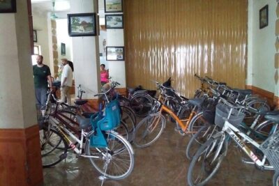 Hoa Lu - Tam Coc: Boat Trip and Bicycle Ride - Hoa Lu Temple Grounds: Dinh and Le Dynasties in Limestone Country
