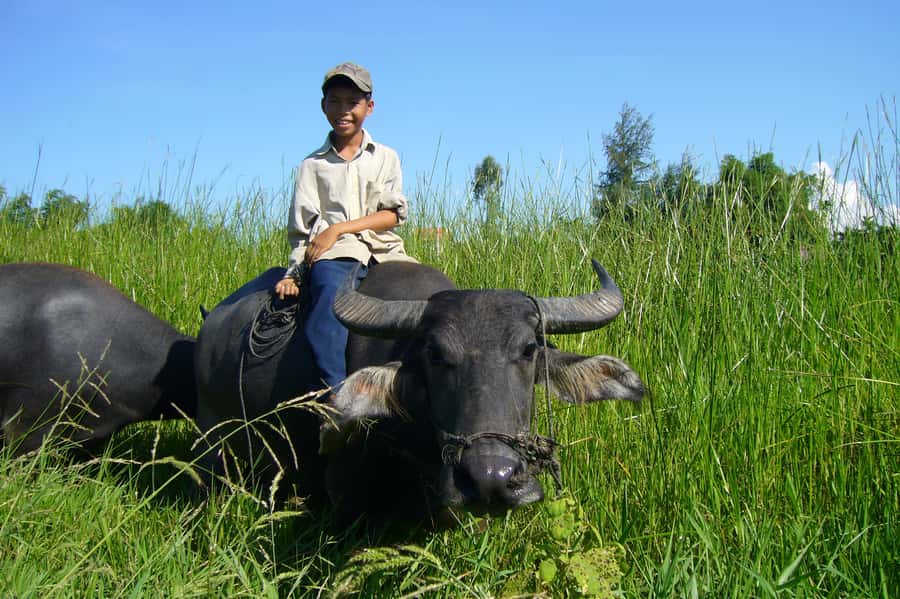Hoi An Countryside: Guided Morning or Afternoon Bicycle Tour - From Hoi An to the Song Thu delta: the real-feeling change