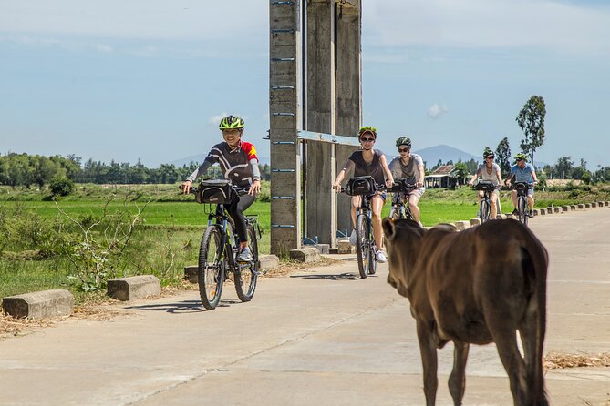Hoi An Morning Countryside Tour by Bike - Key Points That Make This Tour Worth Your Morning