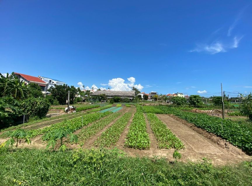 Hoi An: Rural Cycling Tour to Village with Basket Boat Ride - Tra Que Vegetable Village: Herbs, Vegetables, and a Real Farming Workshop Feel