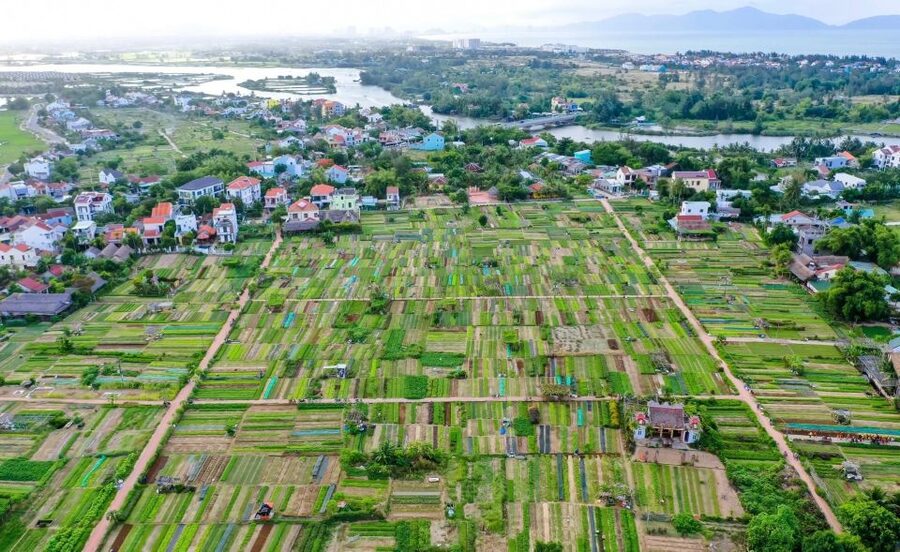 Hoi An: Rural Cycling Tour to Village with Basket Boat Ride - Who This Tour Fits Best (And Who Might Want to Skip It)