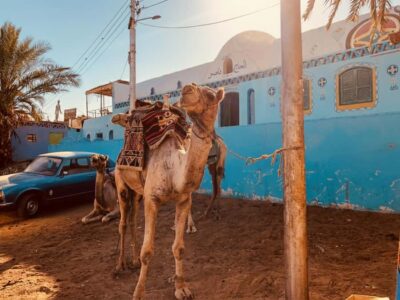 Hurghada: Morning Quad Bike Tour, Camel Ride and Transfer - Pickup and Transfer Times From Hurghada Hotels and Resorts