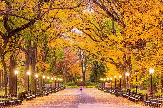Inside Central Park Bike Tour - Key Things You’ll Notice on This Tour