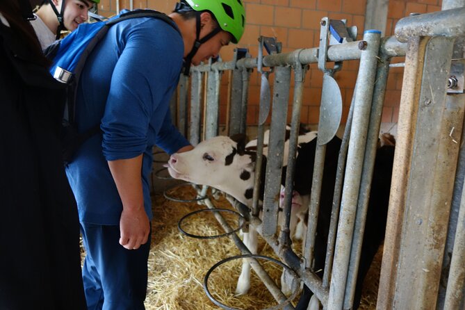 Interlaken 3-Hour Guided E-Bike Tour with a Farm and Ancient Villages Visit - Small-group pacing, photo stops, and the guide’s role