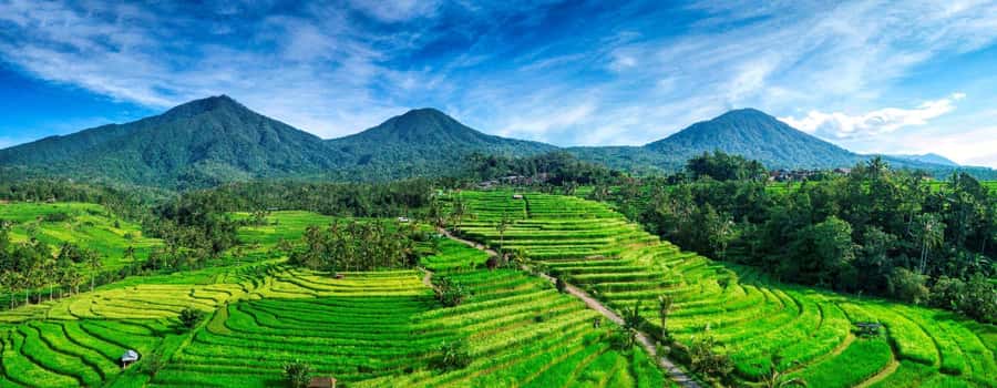 Jatiluwih (UNESCO Site) 2-Hour E-Bike Cycling Tour - E-bike handling, safety checks, and the one thing you should confirm