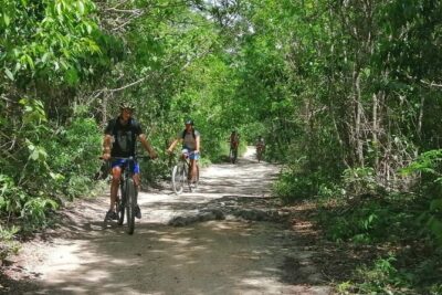 Jungle Bike Tour from Playa del Carmen with Bath in a Cenote - Arriving at the cenote: cavern water, jumps, and that early-quiet feeling