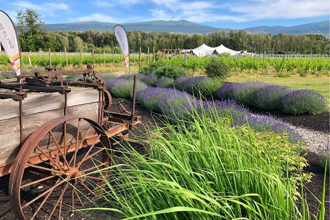 Kelowna Wine Tour by E-bike, Okanagan Valley Views and Lunch - Key Highlights at a Glance