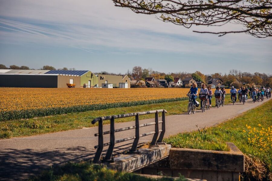 Keukenhof: Flower Fields Small-Group Cultural Bike Tour - Key highlights worth your time