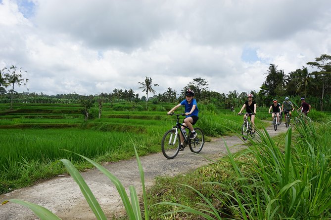 Kintamani Cultural and Nature Cycling Tour ( Manual Bike ) - Key takeaways before you pedal