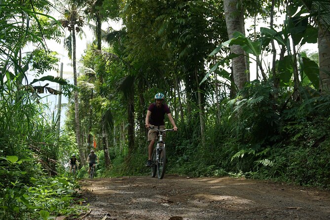 Kintamani Cultural and Nature Cycling Tour ( Manual Bike ) - Why this Kintamani cycling route feels worth $33