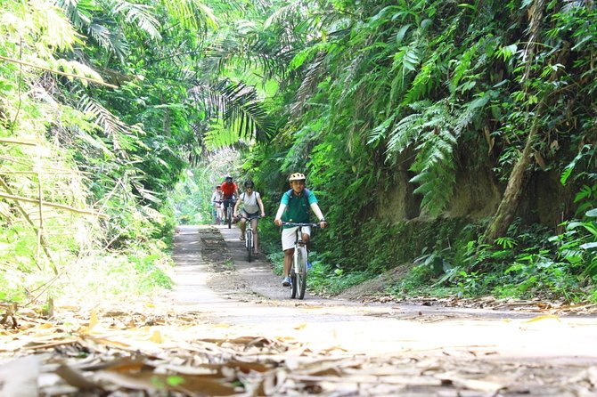Kintamani Cultural and Nature Cycling Tour ( Manual Bike ) - Who this tour fits best
