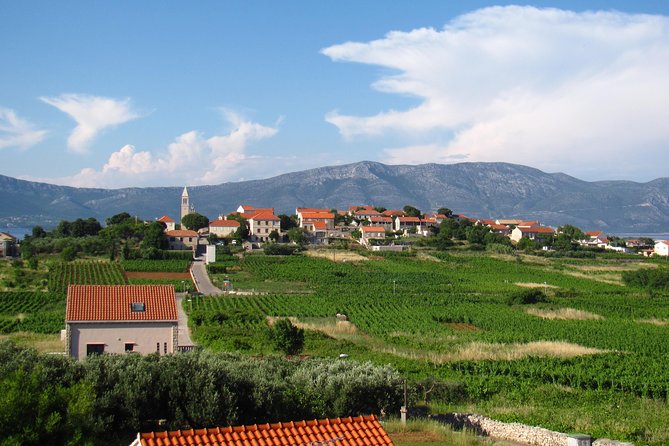 Korcula Bike & Wine Tour | Wine Tasting in Lumbarda - Should you book it? My straight recommendation