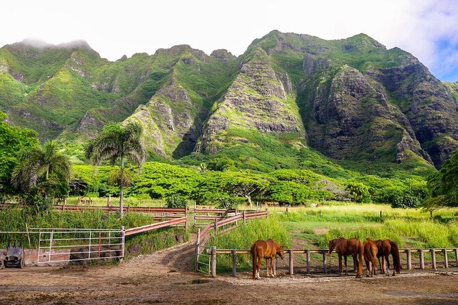 Kualoa Ranch: Novice E-Bike - Key highlights to look for