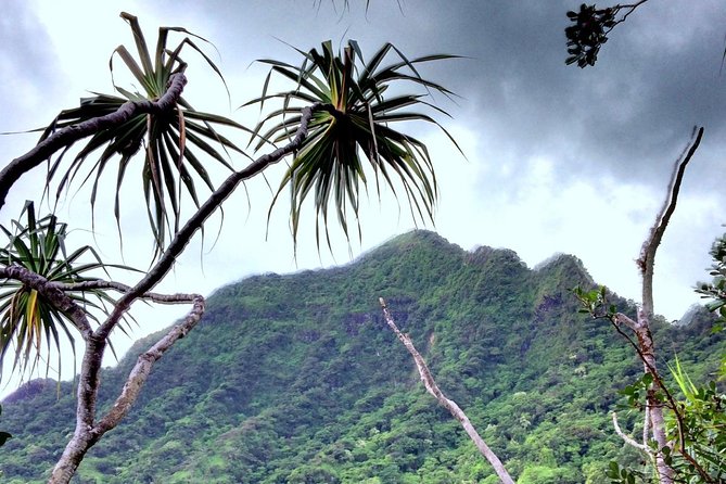 Kualoa Ranch: Novice E-Bike - Price and Value: Does $140.15 Make Sense?