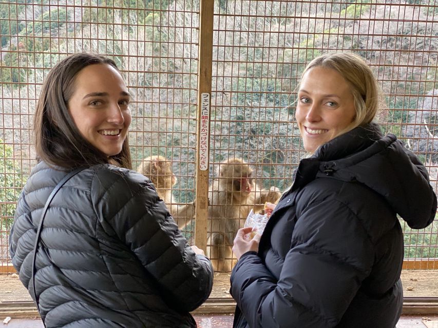Kyoto: Afternoon Bamboo Forest and Monkey Park Bike Tour - What you’re really paying for at about $106